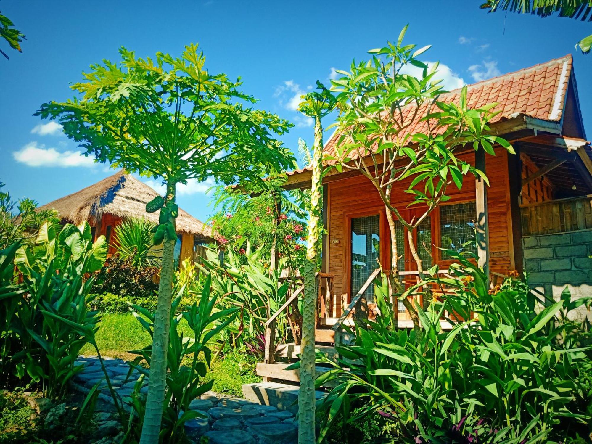 Umah Kayu 2-Menjangan Homestay Banyuwedang Exteriér fotografie