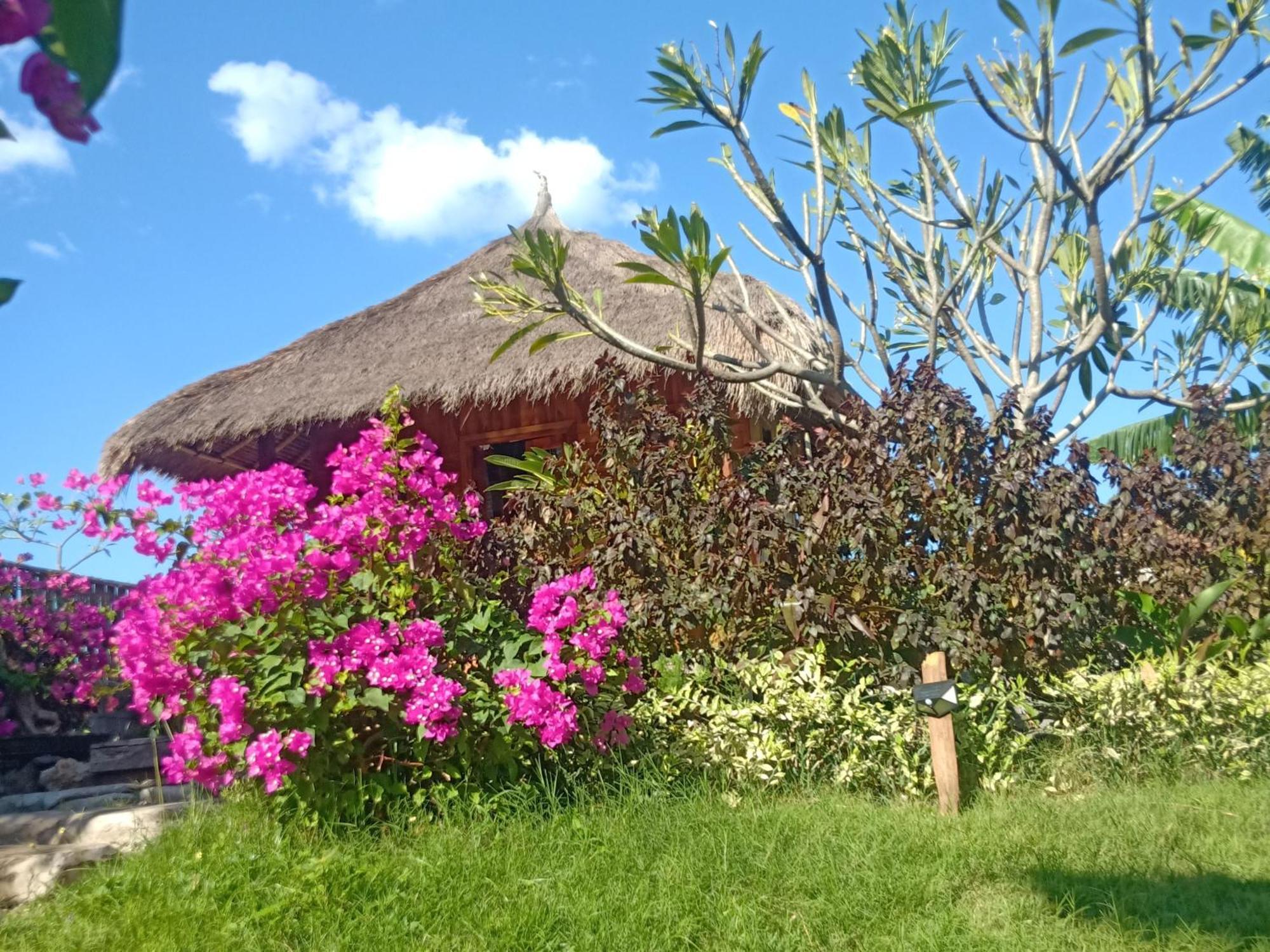 Umah Kayu 2-Menjangan Homestay Banyuwedang Exteriér fotografie