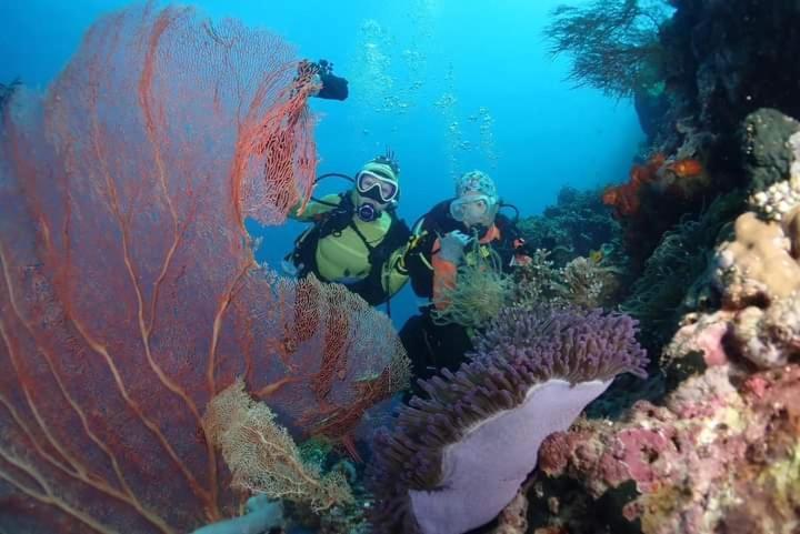 Umah Kayu 2-Menjangan Homestay Banyuwedang Exteriér fotografie