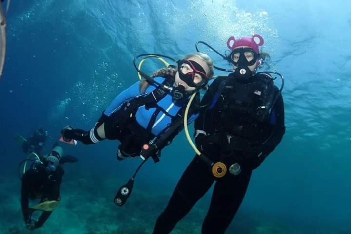 Umah Kayu 2-Menjangan Homestay Banyuwedang Exteriér fotografie